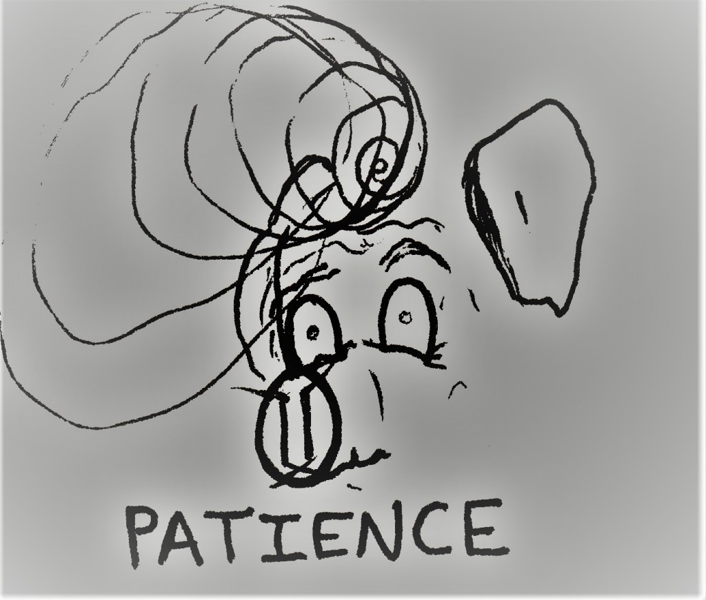 startled pig with mind beaconshell